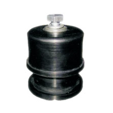 HVE�͏��ɜp����